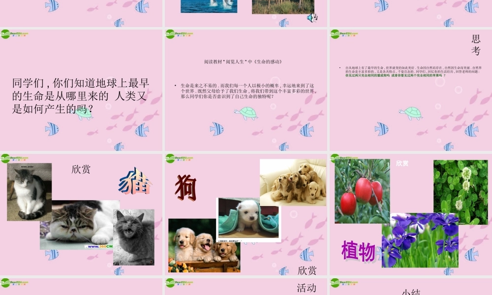 七年级政治上册 第一单元 正确认识自我 生命的乐章课件 陕教版 课件