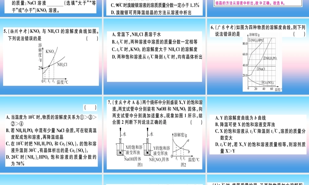 九年级化学下册 专题二 溶解度和溶质的质量分数习题课件 新人教版 课件