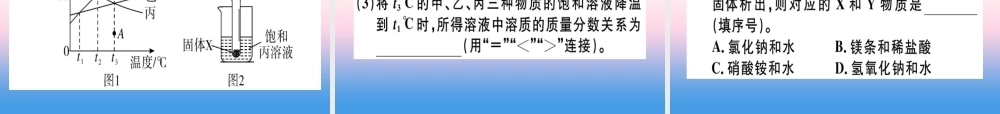 九年级化学下册 专题二 溶解度和溶质的质量分数习题课件 新人教版 课件
