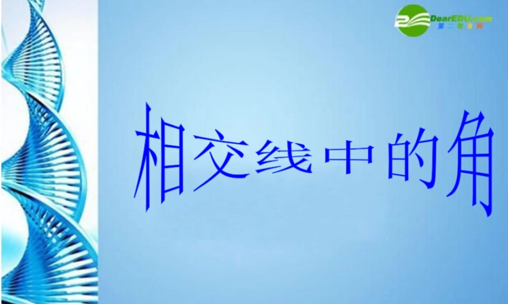 七年级数学上册 4.7相交线中的角课件 华东师大版 课件