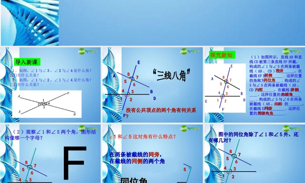七年级数学上册 4.7相交线中的角课件 华东师大版 课件
