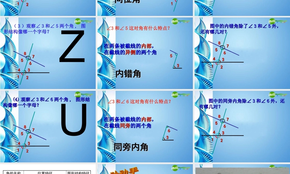 七年级数学上册 4.7相交线中的角课件 华东师大版 课件