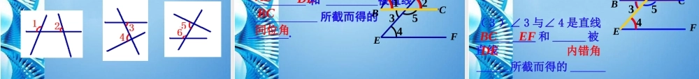 七年级数学上册 4.7相交线中的角课件 华东师大版 课件