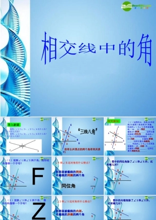 七年级数学上册 4.7相交线中的角课件 华东师大版 课件
