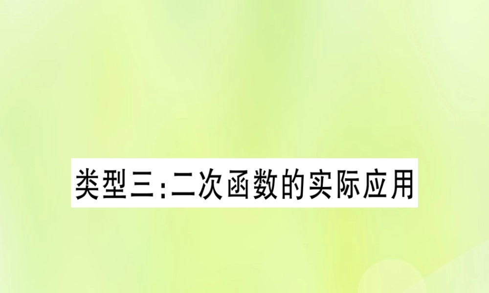 (湖北专用版)版中考数学总复习 第二轮 专项突破3 实际应用与方案设计 类型3 二次函数的实际应用实用课件