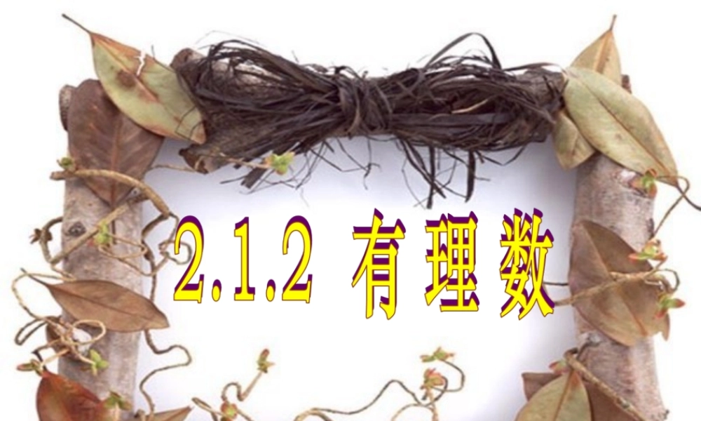 七年级数学上册 2.1 有理数 2.1.2 有理数教学课件2 (新版)华东师大版 课件