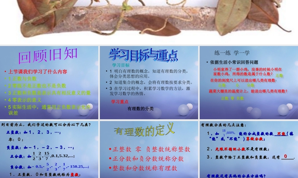 七年级数学上册 2.1 有理数 2.1.2 有理数教学课件2 (新版)华东师大版 课件