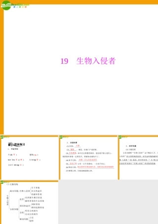 (随堂优化训练)八年级语文上册 第四单元 第19课 生物人侵者配套课件 人教新课标版 课件