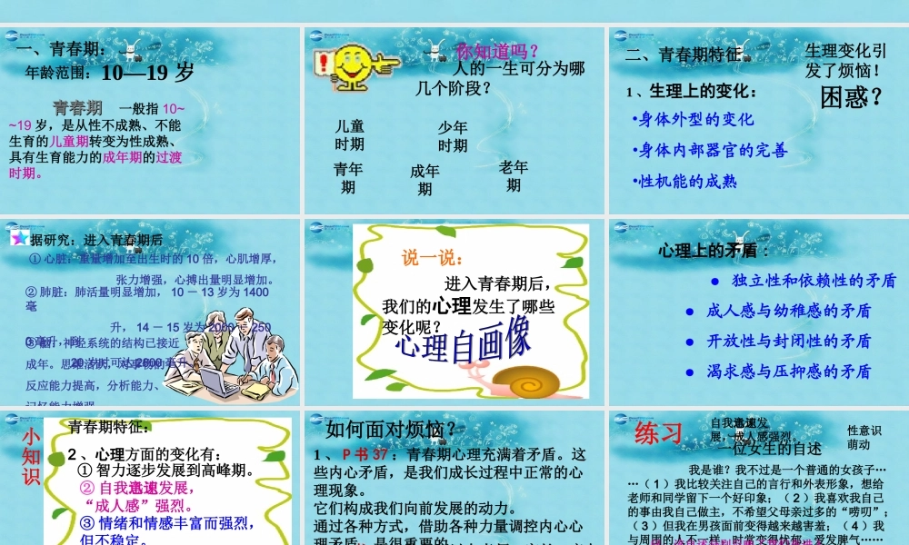 七年级政治上册 2.4 欢快的青春节拍课件1 新人教版 课件