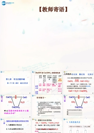 九年级化学下册 72 碱及其性质课件 (新版)鲁教版 课件