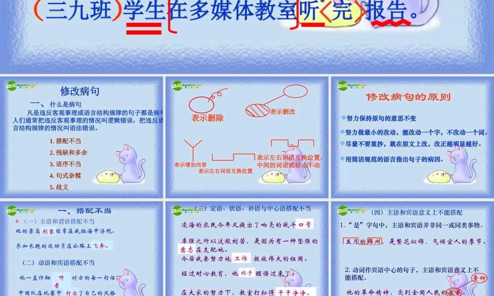 中考语文专题复习 病句修改课件