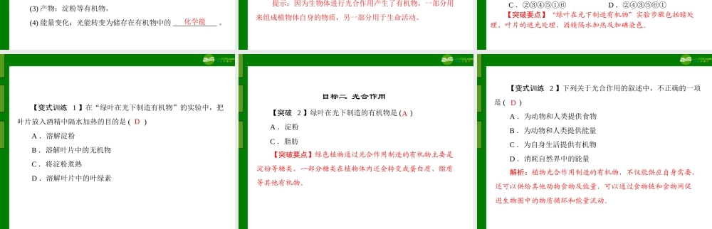 (随堂优化训练)七年级生物上册 第三单元 第四章 第一节 绿色植物通过光合作用制造有机物配套课件 人教新课标版 课件