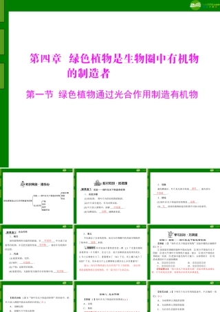 (随堂优化训练)七年级生物上册 第三单元 第四章 第一节 绿色植物通过光合作用制造有机物配套课件 人教新课标版 课件