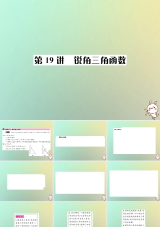 中考数学系统复习 第四单元 图形的初步认识与三角形 第19讲 锐角三角形课件