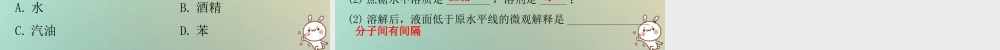 九年级化学下册 第九单元 溶液 课题1 溶液的形成 课时1 溶液(小测本)课件 (新版)新人教版 课件