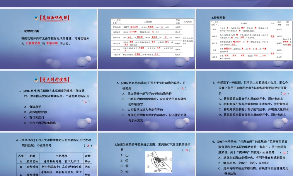 中考生物一轮复习 第五单元 第一章 动物的主要类群课件 新人教版 课件