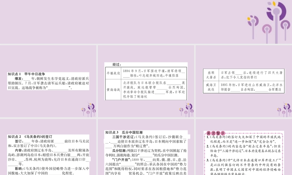 (河南专版)八年级历史上册 第二单元 近代化的早期探索与民族危机的加剧 第5课 甲午中日战争与瓜分中国狂潮课件 新人教版 课件