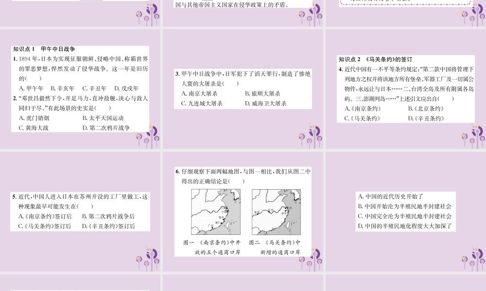 (河南专版)八年级历史上册 第二单元 近代化的早期探索与民族危机的加剧 第5课 甲午中日战争与瓜分中国狂潮课件 新人教版 课件