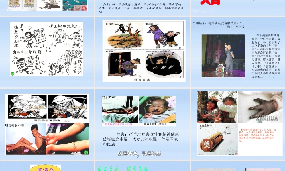 七年级政治下册 8.3 对不良诱惑说 不 课件 粤教版 课件