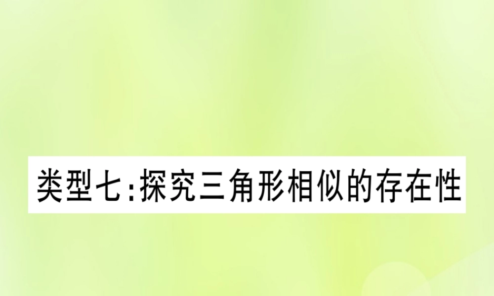(湖北专用版)版中考数学 第三轮 压轴题突破 重难点突破4 二次函数与几何函数综合题 类型7 探究三角形相似的存在性课件