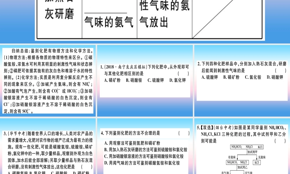 九年级化学下册 第十一单元 盐 化肥 课题2 化学肥料 第2课时 化肥的简易鉴别习题课件 (新版)新人教版 课件