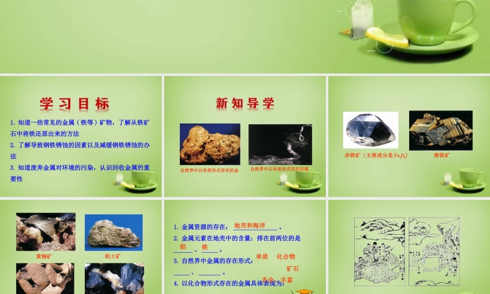 九年级化学下册 第8单元 课题3 金属资源的利用和保护课件 (新版)新人教版 课件