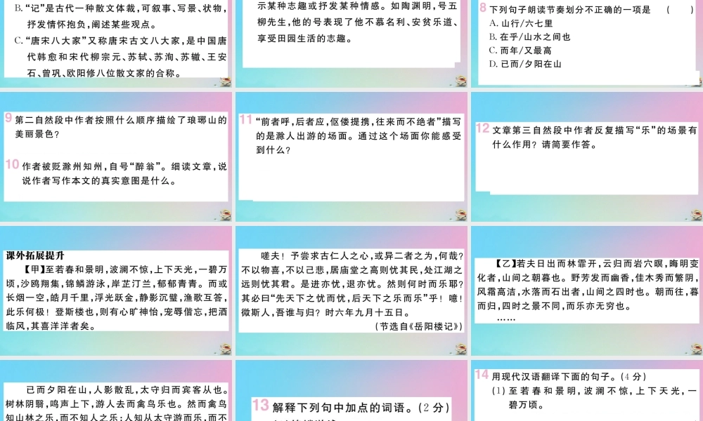 (贵州专版)九年级语文上册 第三单元 11 醉翁亭记作业课件 新人教版 课件