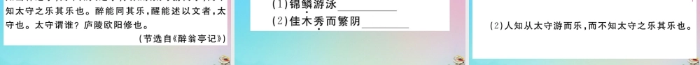 (贵州专版)九年级语文上册 第三单元 11 醉翁亭记作业课件 新人教版 课件