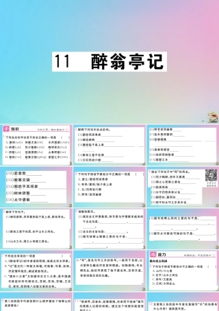 (贵州专版)九年级语文上册 第三单元 11 醉翁亭记作业课件 新人教版 课件