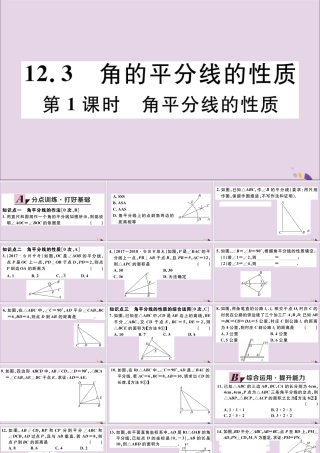 (河北专版)八年级数学上册 12.3 角的平分线的性质 第1课时 角平分的性质习题课件 (新版)新人教版 课件