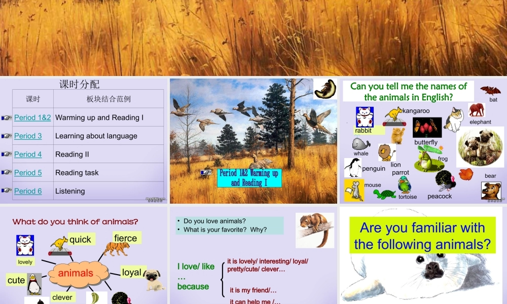 M2 Unit4 warming up and readingP1&P2 高一英语Unit4全单元课件[整理五个]新课标 人教版