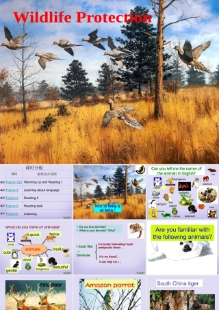 M2 Unit4 warming up and readingP1&P2 高一英语Unit4全单元课件[整理五个]新课标 人教版