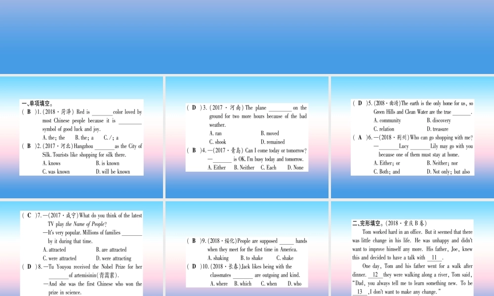 中考英语准点备考 第一部分 教材系统复习 考点精练十七 九下 Unit 5课件