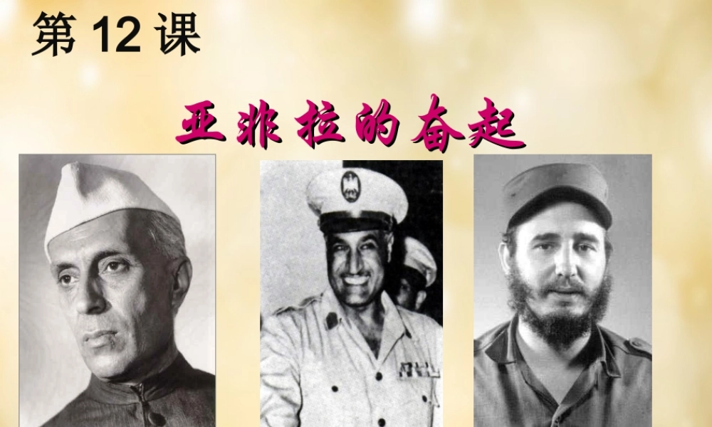 九年级历史下册 第12课 亚非拉的奋起好课件 新人教版 课件