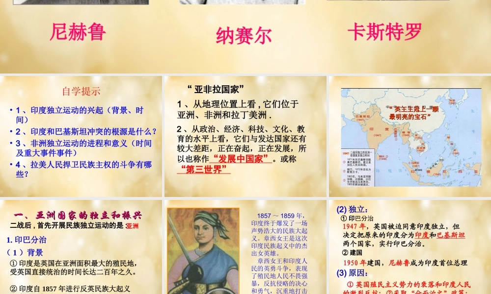 九年级历史下册 第12课 亚非拉的奋起好课件 新人教版 课件