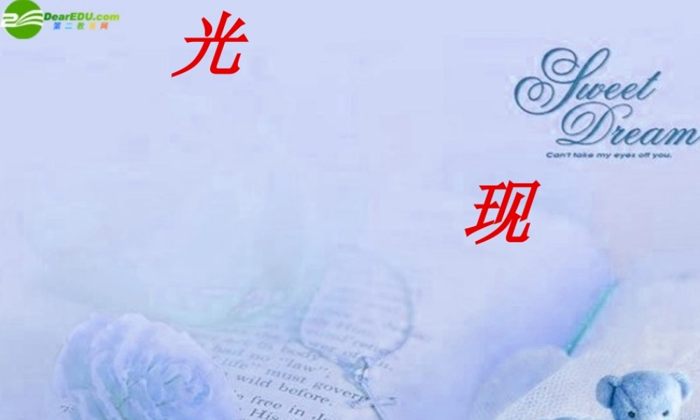 中考物理复习 光现象课件 人教新课标版 课件