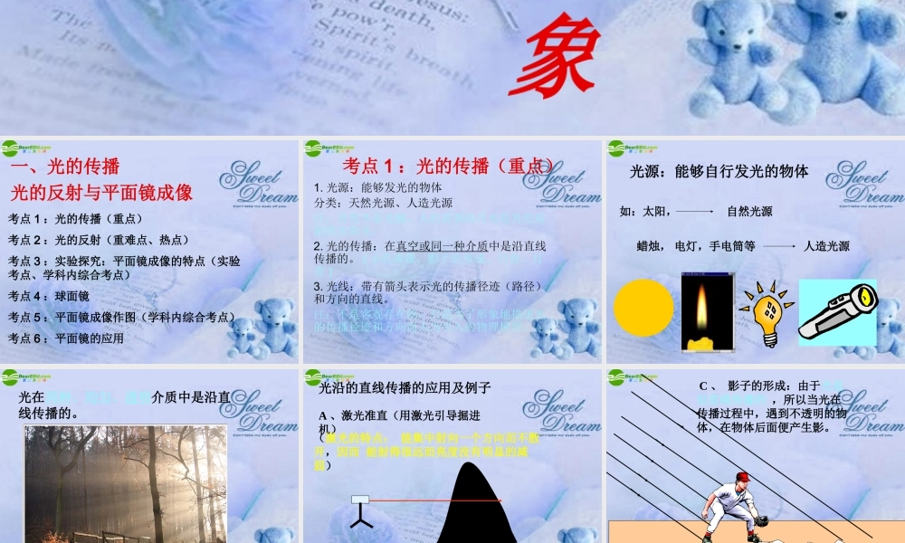 中考物理复习 光现象课件 人教新课标版 课件