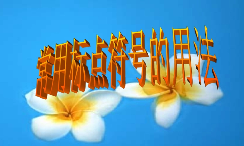 中考语文复习 常用标点符号的用法课件