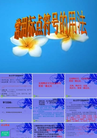 中考语文复习 常用标点符号的用法课件