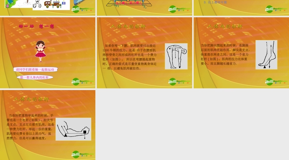 九年级 杠杆(课件)1 课件
