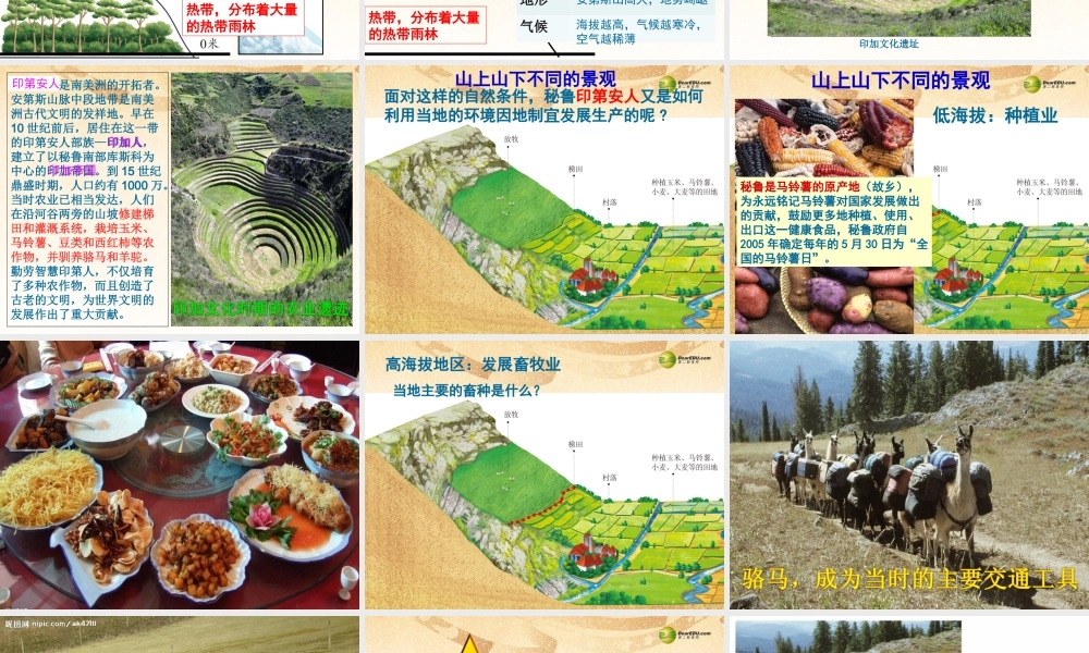 七年级历史与社会上册 第三单元第二课第一框垂直的生计课件 人教版 课件