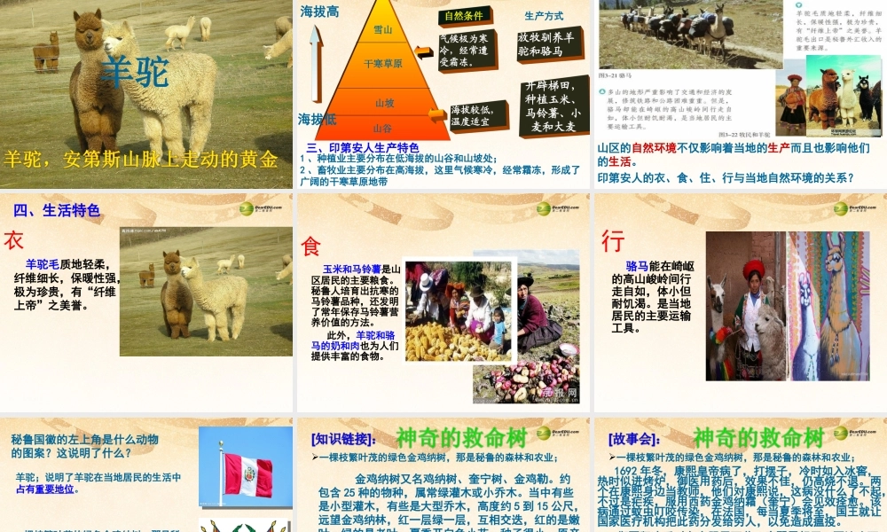 七年级历史与社会上册 第三单元第二课第一框垂直的生计课件 人教版 课件