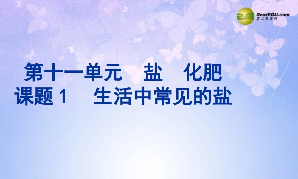 九年级化学下册 111 生活中常见的盐课件 新人教版 课件