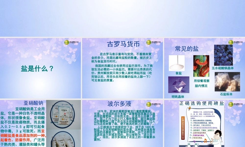 九年级化学下册 111 生活中常见的盐课件 新人教版 课件