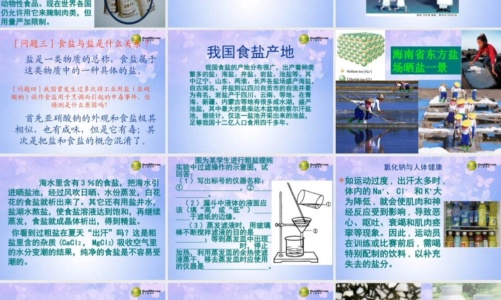 九年级化学下册 111 生活中常见的盐课件 新人教版 课件