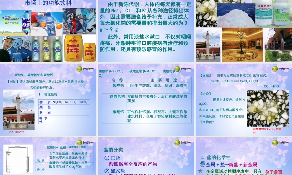 九年级化学下册 111 生活中常见的盐课件 新人教版 课件