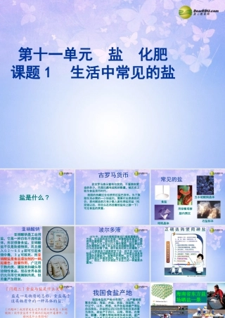 九年级化学下册 111 生活中常见的盐课件 新人教版 课件