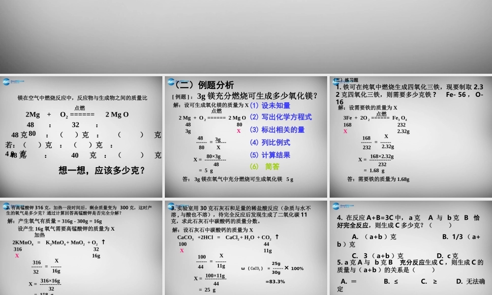 九年级化学全册 43 化学方程式课件2 (新版)沪教版 课件