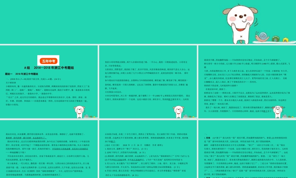 中考语文总复习 第三部分 现代文阅读 专题八 文学作品阅读 散文(试题部分)课件-2