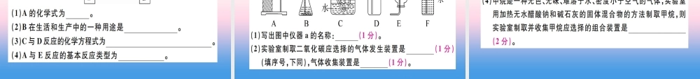 九年级化学下册 中考模拟卷(一)习题课件 (新版)新人教版 课件